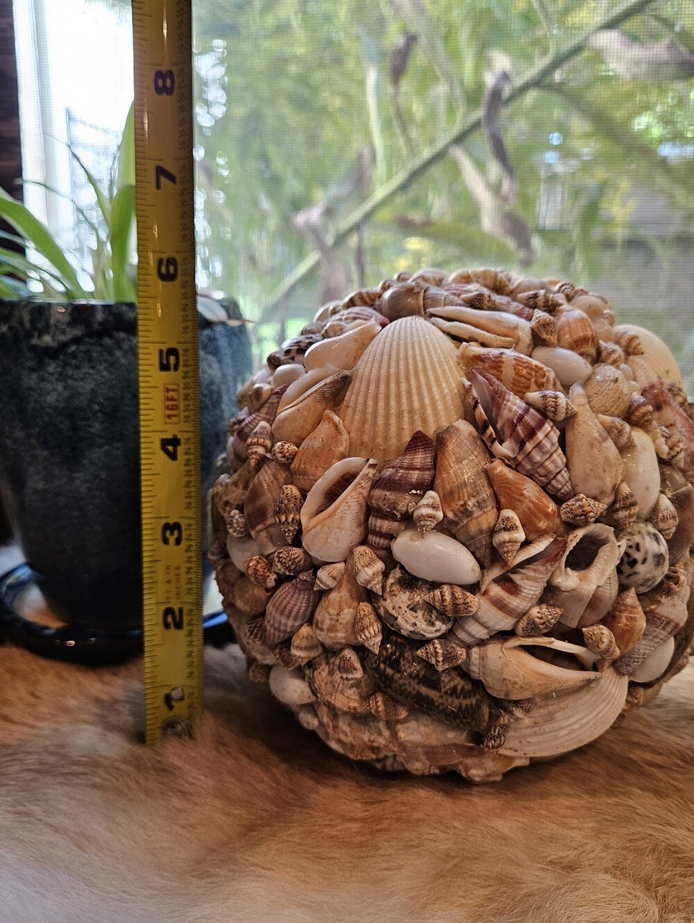 Seashell Orb - Picture 3 of 4